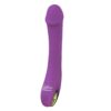 Prince Pruple Prince Purple
