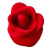 Rose Smooth Clitoral Stimulator
