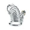 BDSM Chastity Cage