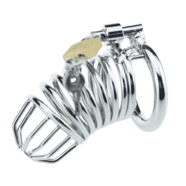 BDSM Chastity Cage