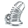 BDSM Chastity Cage