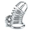 BDSM Chastity Cage