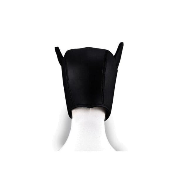 Kinky BDSM Dog Hood
