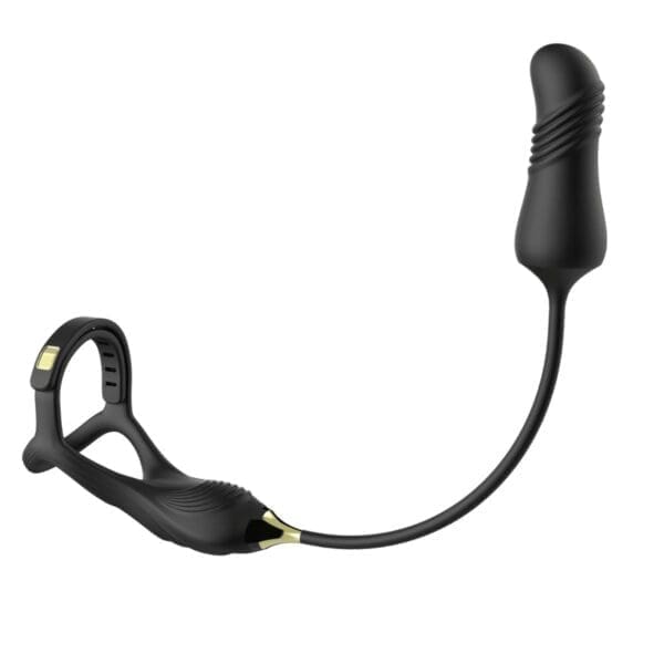 Dual Prostate Massager and Cock Ring