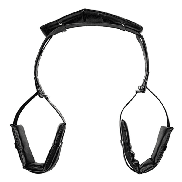 BDSM Silhouette Door Swing