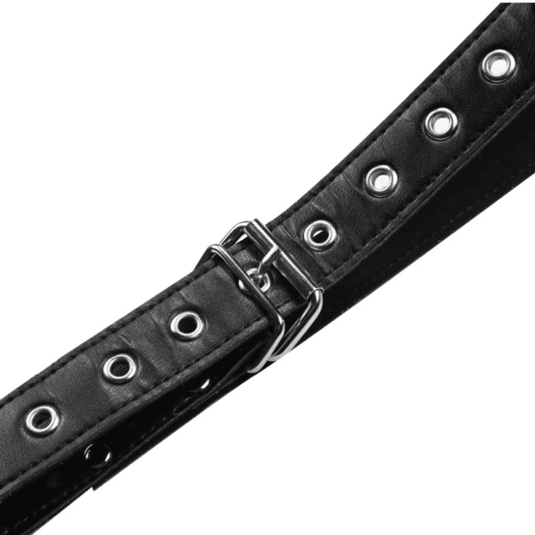 BDSM Silhouette Door Swing