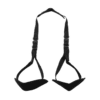 BDSM Silhouette Door Swing