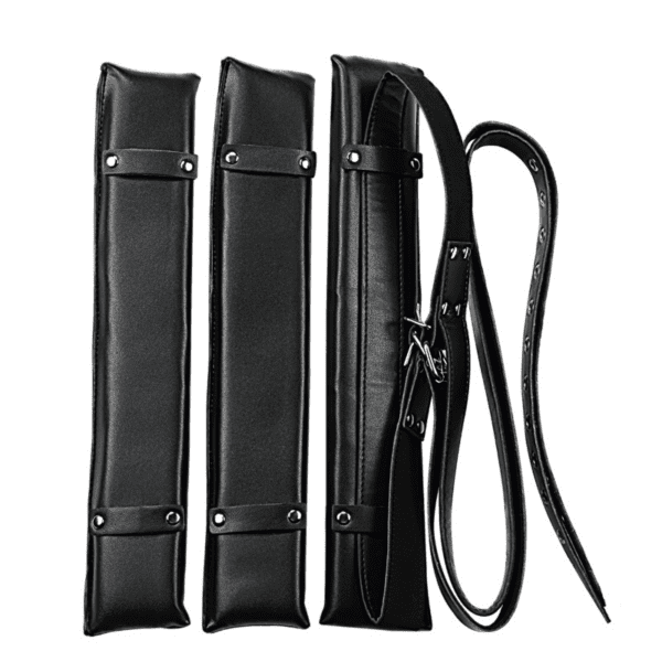 BDSM Silhouette Door Swing