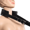 BDSM Silhouette Door Swing