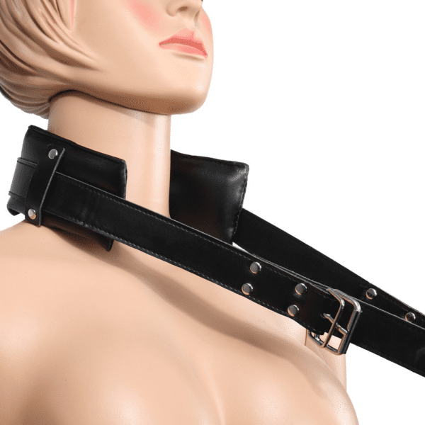 BDSM Silhouette Door Swing
