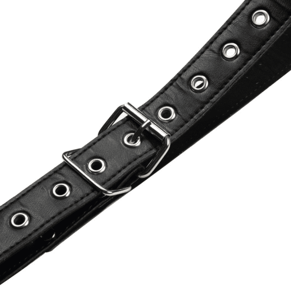 BDSM Silhouette Door Swing