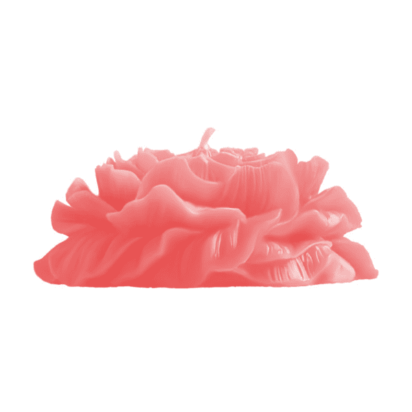 Peony Flower Low-Temperature Candle – Floral Wax Play Candle (2) Peony Flower Low-Temperature Candle – Floral Wax Play Candle