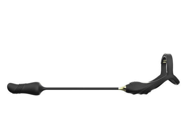 Dual Prostate Massager and Cock Ring