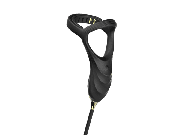 Dual Prostate Massager and Cock Ring