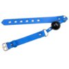 Blue BDSM Bondage Set 7 Piece Blue BDSM Bondage Set