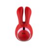 Rabbit Ears and G Spot Vibrator