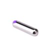 Mini Bullet Vibrator Purple Mini Bullet Vibrator Purple