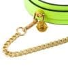 Glow Collar & Lead Green