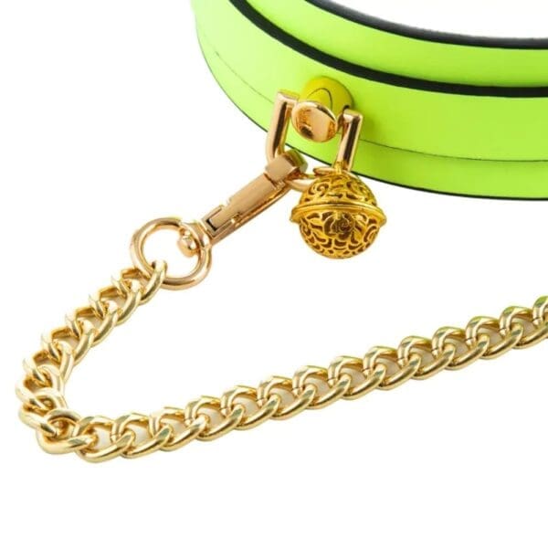 Glow Collar & Lead Green