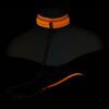 Glow Collar & Lead Orange2 Glow Collar & Lead Orange