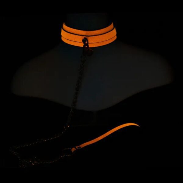 Glow Collar & Lead Orange2 Glow Collar & Lead Orange