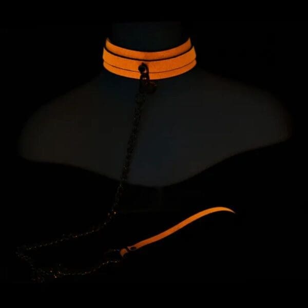 Glow Collar & Lead Orange