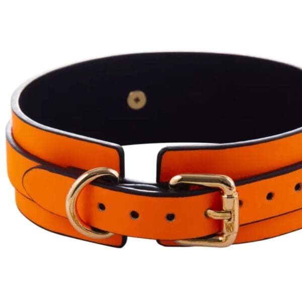 Glow Collar & Lead Orange