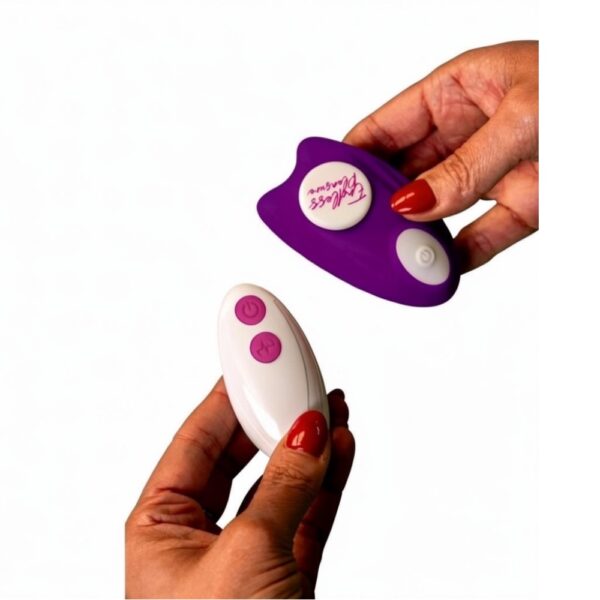 PURPLE BUTTERFLY REMOTE TOY PURPLE BUTTERFLY REMOTE TOY