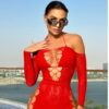 Sexy Red Mesh Dress